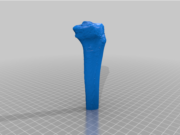 Tibia Knochen Teile thefrido82 3D print model - Mito3D