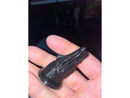espinossauro gaveta lidar pescado 3d print model - Mito3D