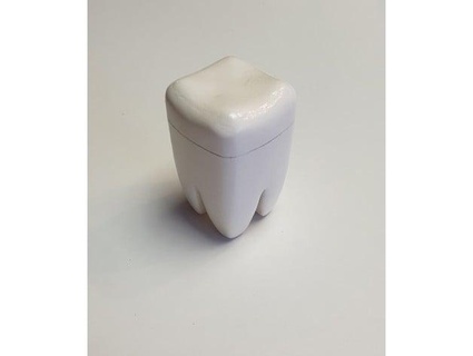diente caja Einstein 3d print model - Mito3D
