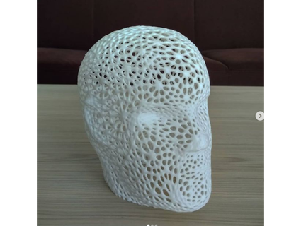 cabeça od artista 3d terra 3d print model - Mito3D