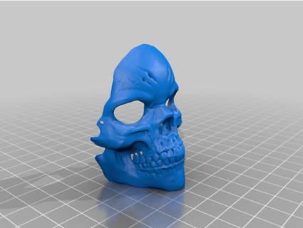 facemask skull fixed danielmcneil 3d print model - Mito3D