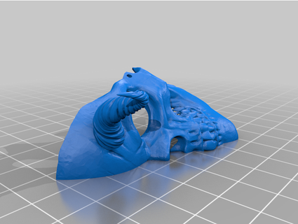 facemask skull chifres Daniel McNeil 3d print model - Mito3D