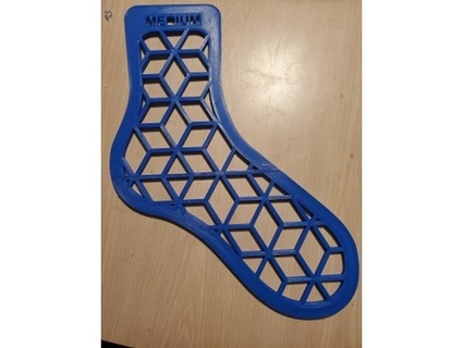 sock blocker medium ktosczak 3d print model - Mito3D