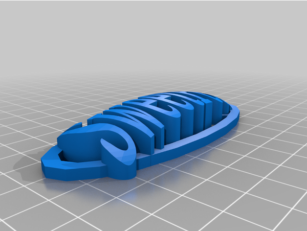 süße Erbse Schlüsselbund Name Etikett Tetrahemikon 3D print model - Mito3D