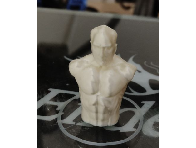 kasl atat rk muscular ataturk ashen0ne 3D print model - Mito3D