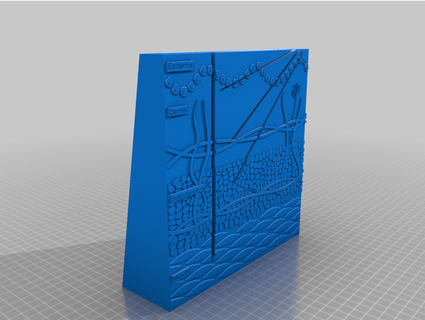 injeção modelo Aprendendo ajuda universidade sulista qld 3d print model - Mito3D