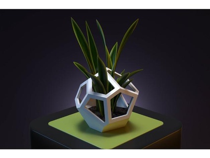 voronoi maison fleurs Markellov 3d print model - Mito3D