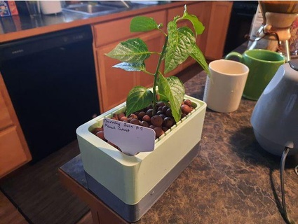 hydroponic window planter hasenyagera 3d print model - Mito3D