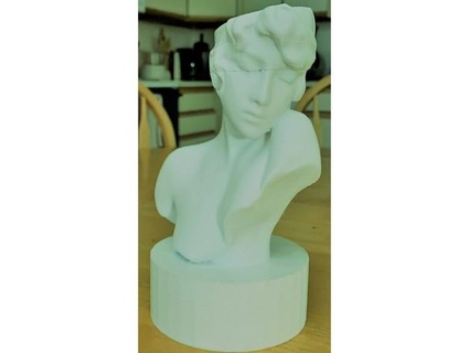 female head planter vizzzz 3d print model - Mito3D