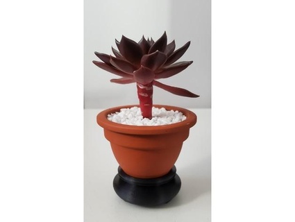 petit plante supporter 3d print model - Mito3D