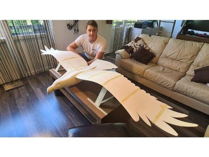 rc fliegend Adler 3d gedruckt esun lw Filament Vogel Lenkräder 3d print model - Mito3D