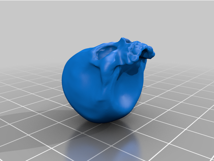 simples crânio femalite 3d print model - Mito3D