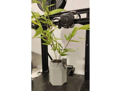 hex plant pot resovoir phoryan 3d print model - Mito3D