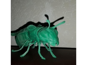 vespa creature scarabeo bobafps insetti 3d print model - Mito3D