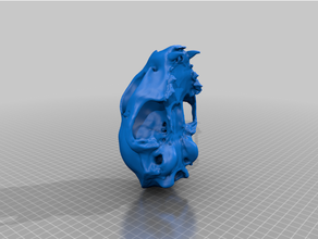 cat skull cleaned decimated animals animal 3d print model - Mito3D