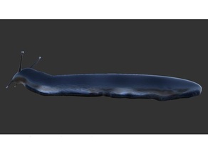 slug animals animal creature eyestalk model sculptgl slime wildlife 3d print model - Mito3D