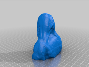 irenica bust people 3d print model - Mito3D
