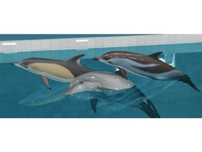 conjunto golfinhos 3d print model - Mito3D