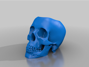 skull space containers 3d print model - Mito3D