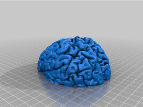 cute brain planter decor cellebral plant pot tiny 3d print model - Mito3D