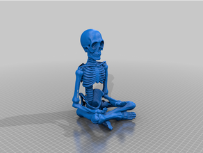 skeleton model generated biology education medicine skeleton skull