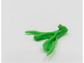 clitoris mri 2 biologie anatomie apprentissage science sexé éducation sexuelle enseignement 3d print model - Mito3D