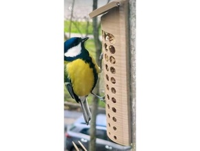 bird feeder window wall pets birdfeeder bluetit nuthatch titmouse tomtit wallmount woodpecker 3d print model - Mito3D