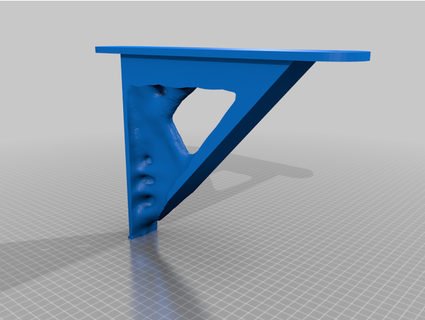 topology shelf braket pasgames 3d print model - Mito3D