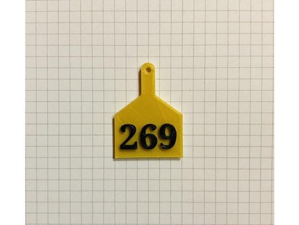 269 earring risajandak 3d print model - Mito3D