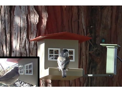 pássaro alimentador casa movimento ativado Câmera props3dpro 3d print model - Mito3D