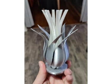 Çiçek açmak karzdan 3d print model - Mito3D