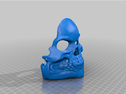 skullmask nosehole zet23t 3d print model - Mito3D