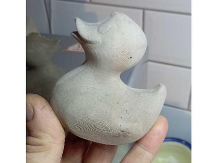 duck mould concrete soap chocolate silicone vacuum form printing budget 3d print model - Mito3D