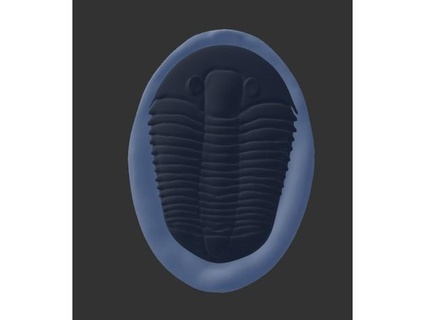 trilobite fósil elrathia rey Señor 3d print model - Mito3D