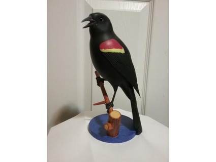 red wing blackbird mjprice 3d print model - Mito3D