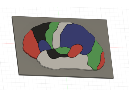 cervello regione puzzle Stampa creatore 3d print model - Mito3D