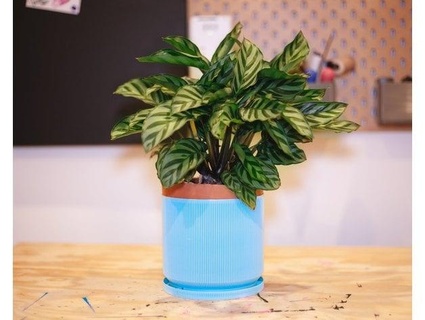 ampla plantador totalmente impresso vaso modo gato oficina 3d print model - Mito3D