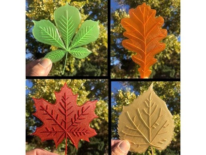 fall leaves - 4 leaf collection new great artist discovery 3d print model - Mito3D