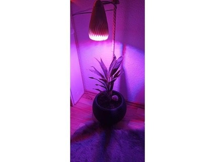 pflanzenleuchte Pflanze Licht Ausführung 20 30w LED perry500 3d print model - Mito3D