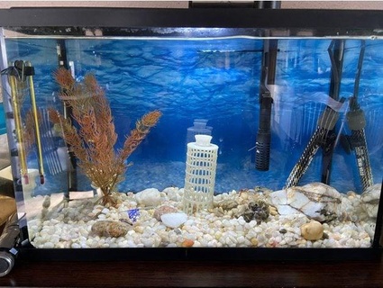 pisa fish sanctuary jeplans 3d print model - Mito3D