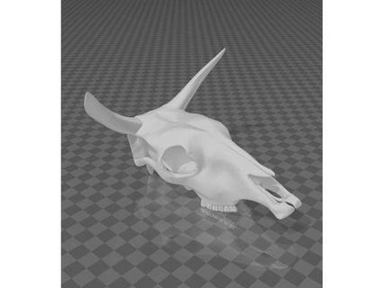 craneo de vaca - cow skull artvalk 3d print model - Mito3D