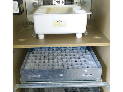 52 egg tray gqf cabinet incubator mill-j 3d print model - Mito3D
