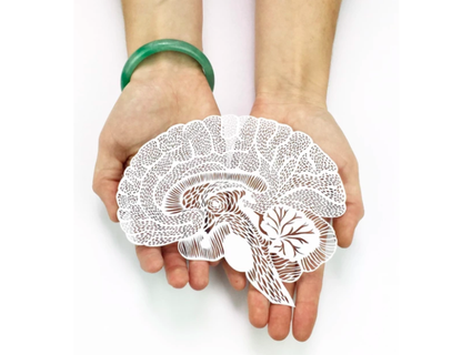anatomik beyin laser cut kağıt kesiği sanat eseri nicepack69 3d print model - Mito3D