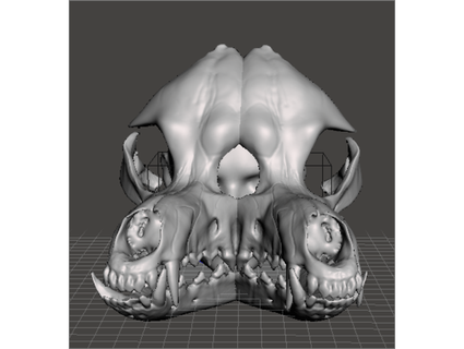 monstruo perro calavera máscara zabadisfraces 3d print model - Mito3D