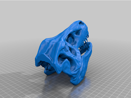 tyrannosaurus skull revopoint pop 2 3d print model - Mito3D