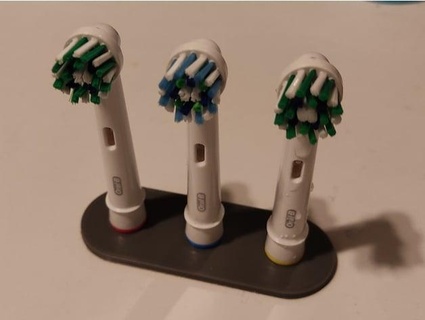 simpler toothbrush holder bellingeri 3d print model - Mito3D
