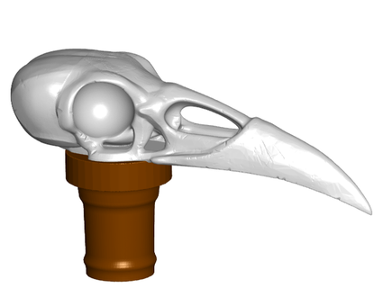 corbeau crâne topper 7 canne marchant randonnée bâtons toakamate 3d print model - Mito3D