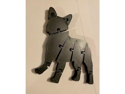 flexi french bulldog cleveland013 3d print model - Mito3D