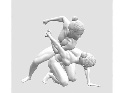 ditte ejlerskov wrestlers virtualsculptures 3d print model - Mito3D