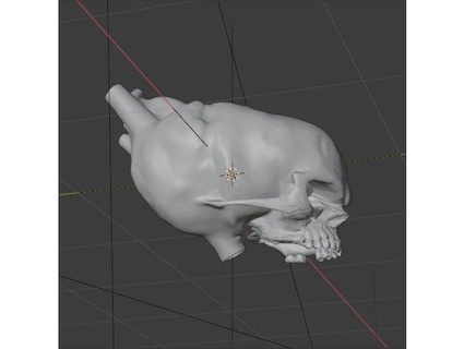 heart skull bor-t 3d print model - Mito3D